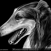Гравировка животные 