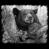 Гравировка Животные 